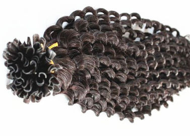 Κίνα Τις ελαστικές προ συνδεμένες σγουρές επεκτάσεις ανθρώπινα μαλλιών μπορούν να ισιώσουν 8 - 40 ίντσα προμηθευτής