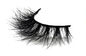 Μακράς διαρκείας αόρατη ζώνη Eyelashes, μαύρο φυσικό να φανεί ψεύτικο Eyelashes προμηθευτής
